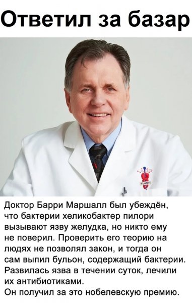 красава