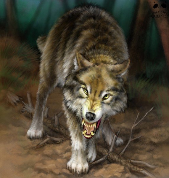 werwolf