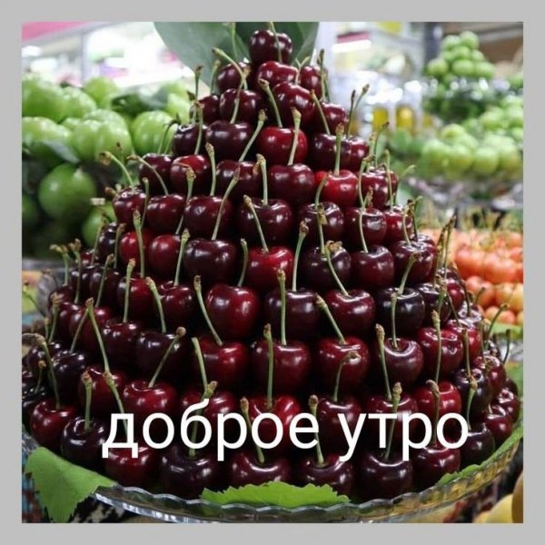 mTXQqMf2RYM