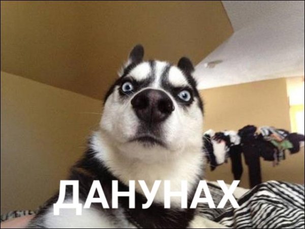 -ДА НУ НАХ-