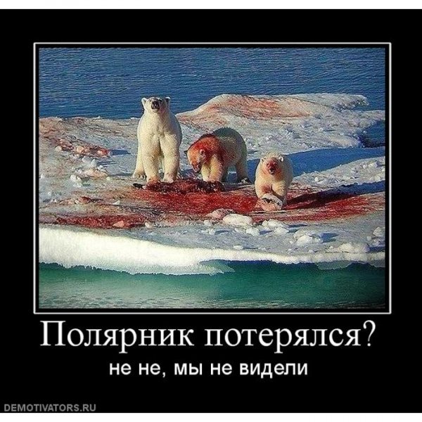 pics