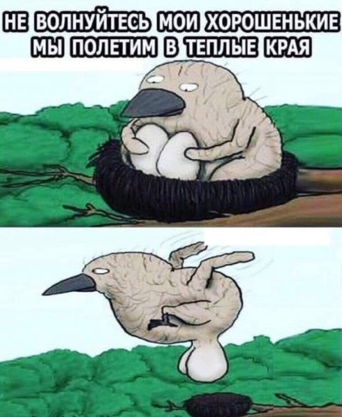 68f7e4f7b4 19984797