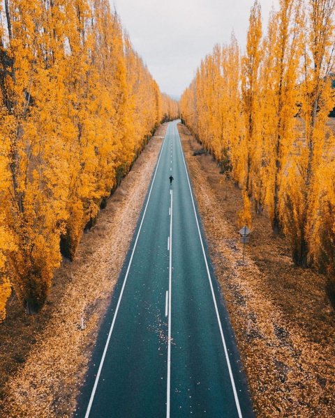 D5-C344-4B69-B852-0633E22687DB