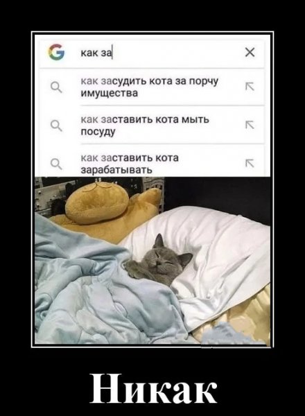 Про кота