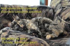 images (21)