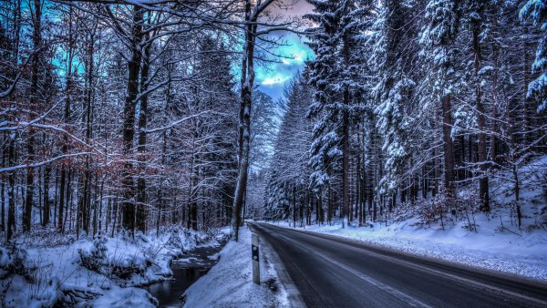 12-31-road-in-the-winter-forest-1-56390