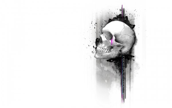 Amazing Wallpapers (113)