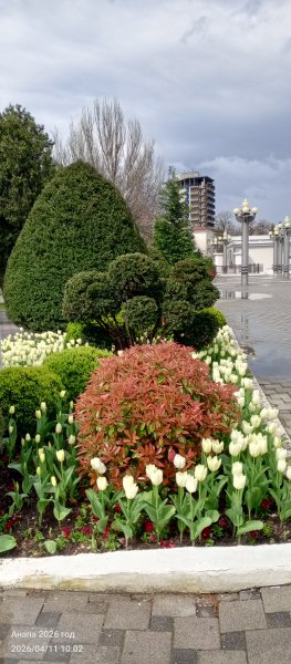 Анапа. Центральная набережная