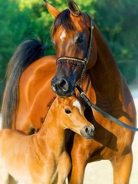 20-02-28-239554540 583750925967393 1865117732289053838 n