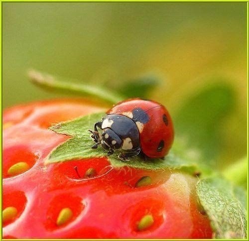 7abeb47d63322d126db56ac7623a27dd