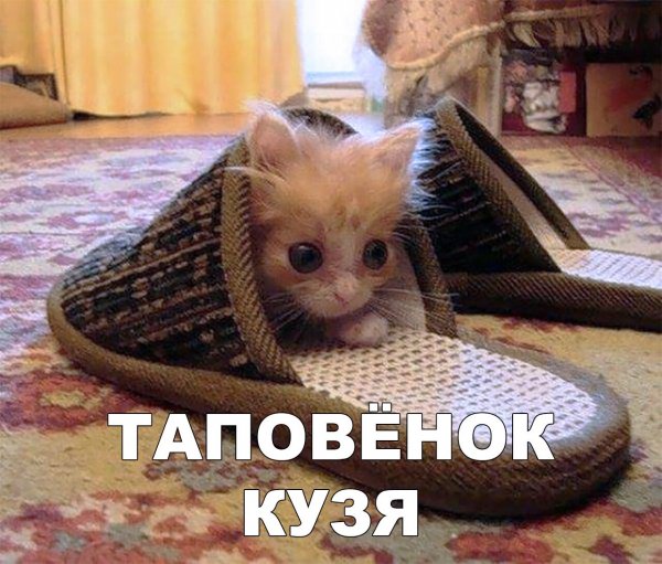 IMG 20210531 212149