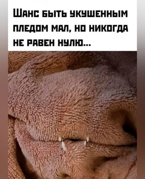 Sbornik-novyh-memov-i-kommentariev-iz-socialnyh-setej-16