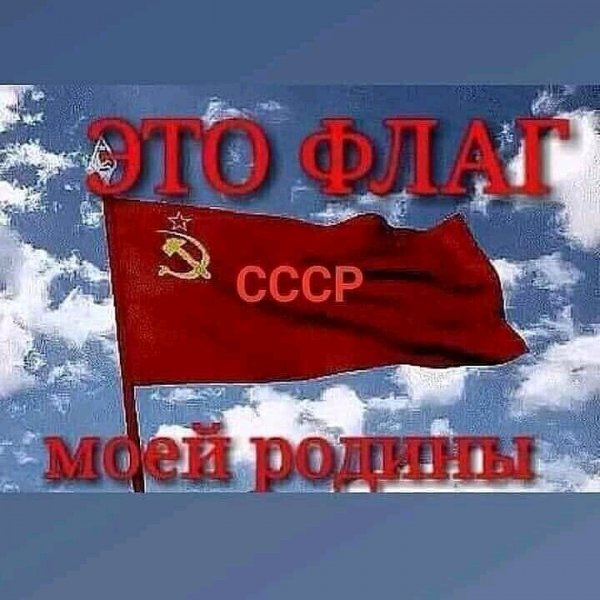 FB IMG 16167743851503010