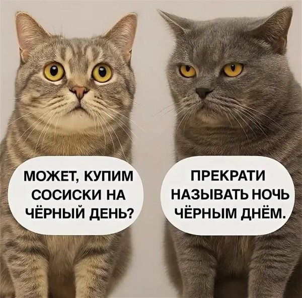 Чёрный день
