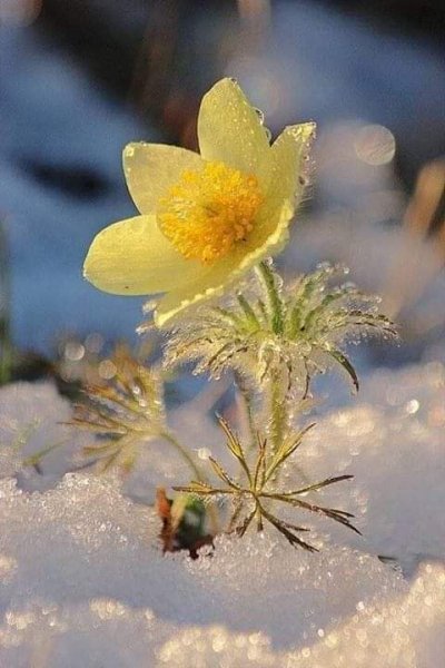 FB IMG 1612609306863