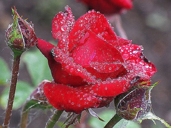 image (24)