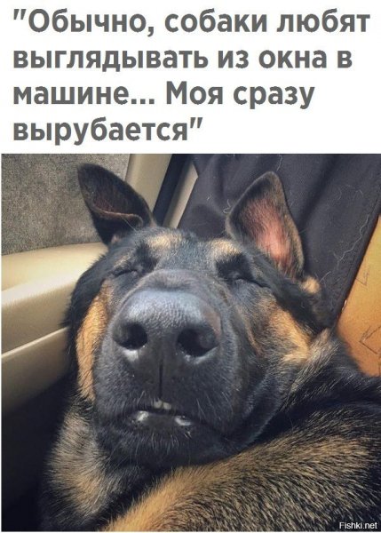 Вырубается
