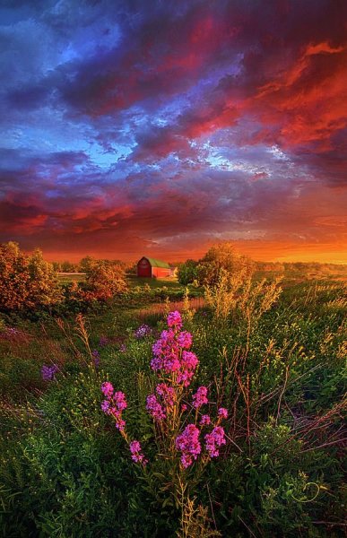 F36a7fb67fcce2f0787609c0334c3f97