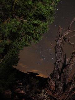 night stars