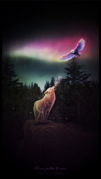 ZamanilkaRUS Wallpaper (437)