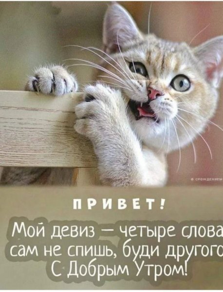 С добрым утром!