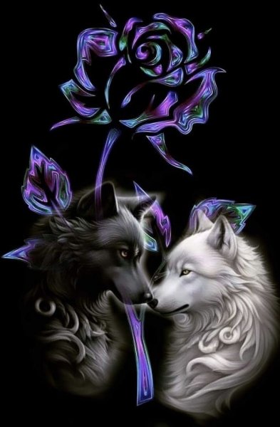 E728c2913cc2a277dd8243fdcdb1aa95