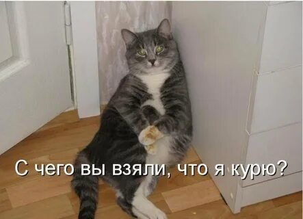 I - 2025-05-04T204024.290