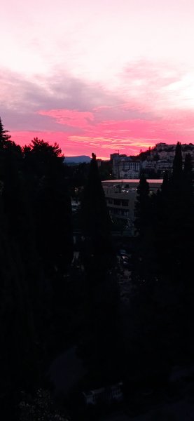 IMG 20210520 043730 1