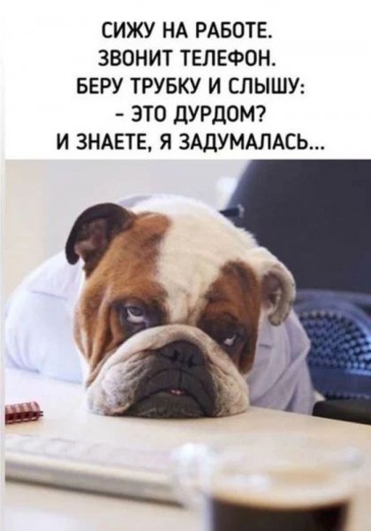 Я задумалась...