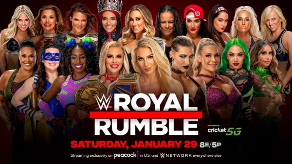 WWE (276)