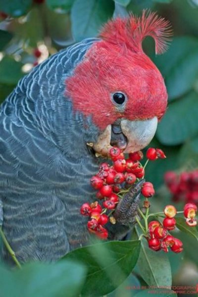 Ce7969ecd809d39e667d5974f33261cb