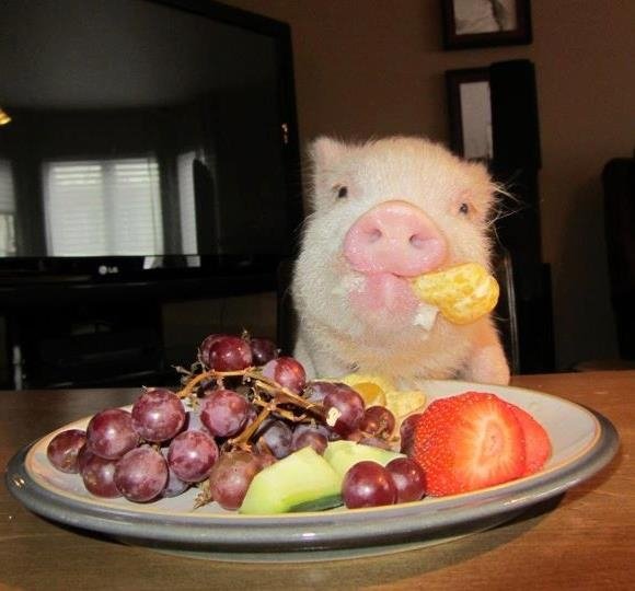 E76cd89b0e44434ea868b22ebabafc53