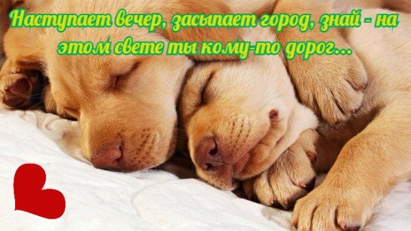 good night 5