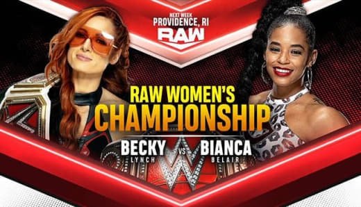 WWE (406)