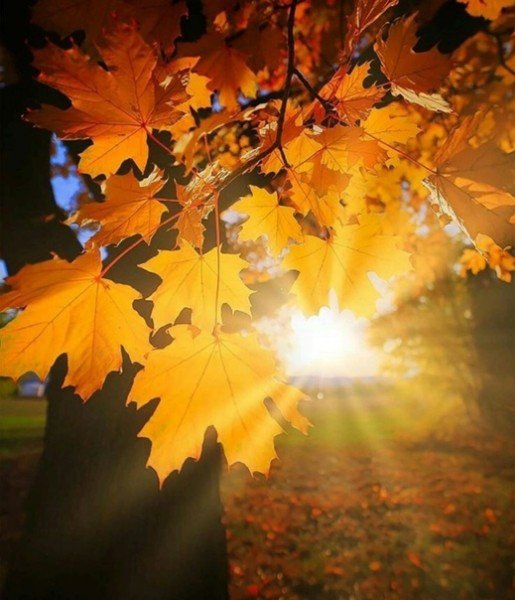 Если кончается лето - не беда...