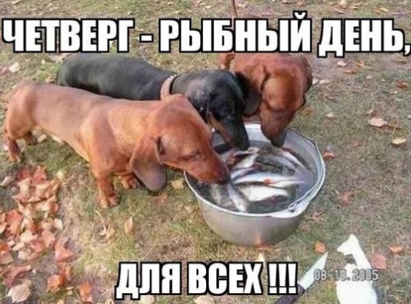 Для всех!!!