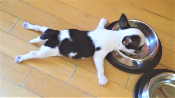 Похоже перебрал