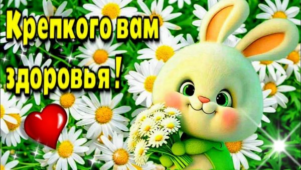 IMG-20251003-WA0011
