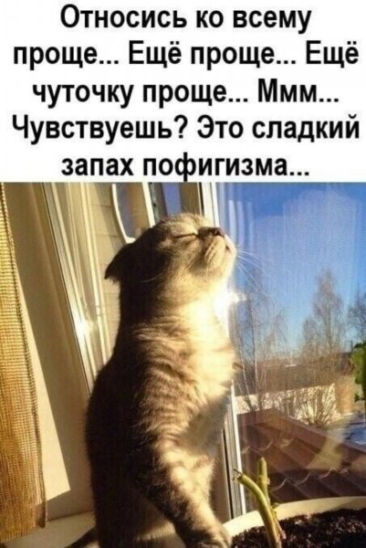 Да! ))