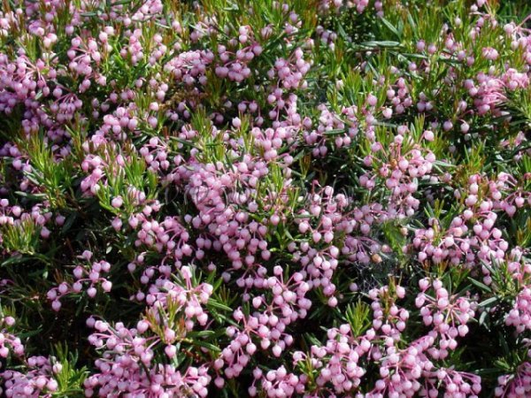 I - 2026-04-24T200103.792