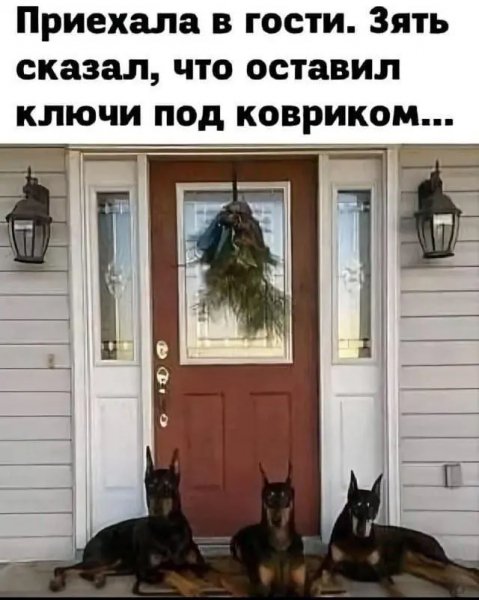 Kartinki-kotorye-rassmeshat-07