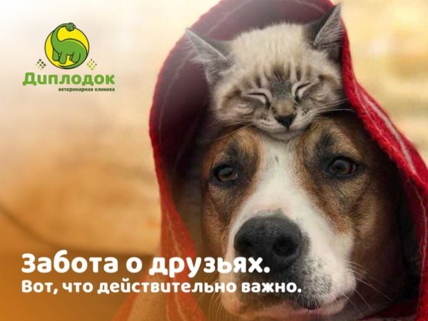 Так!
