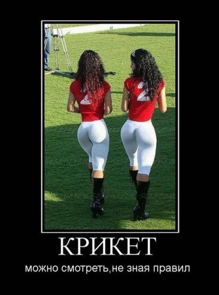 Крикет