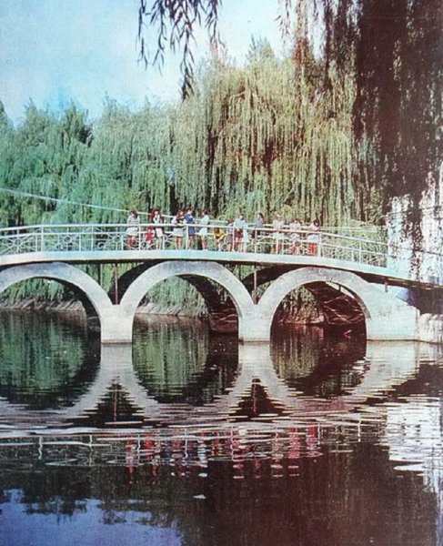 Г. Шахты, парк КиО. 1978г