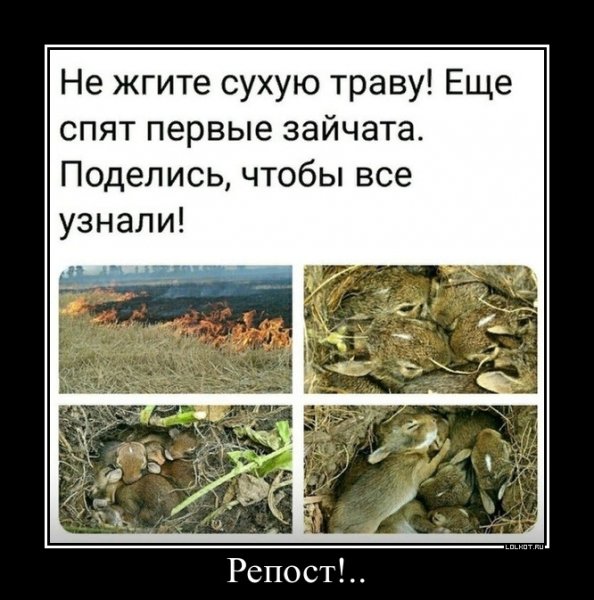lol1557508827-