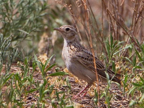 e7f50d8b0f6bb2e854646101131e