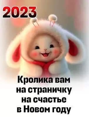 FB IMG 1671813496583