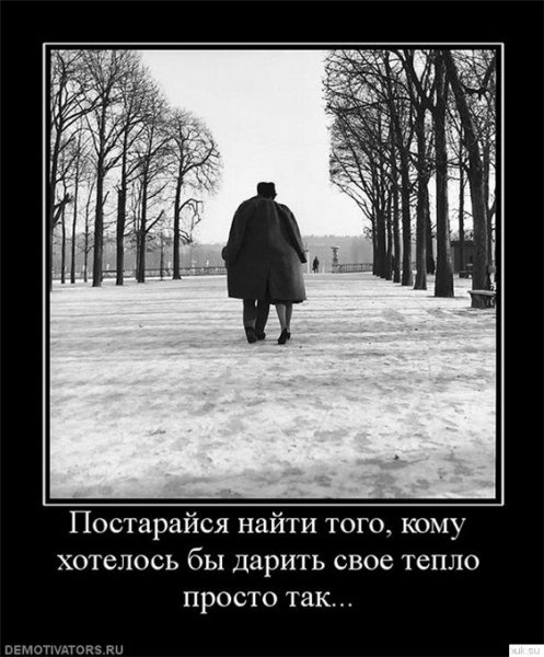 Demotivatory (17)