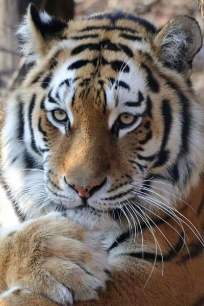 6b5efaacd1133a6-a-nw-p