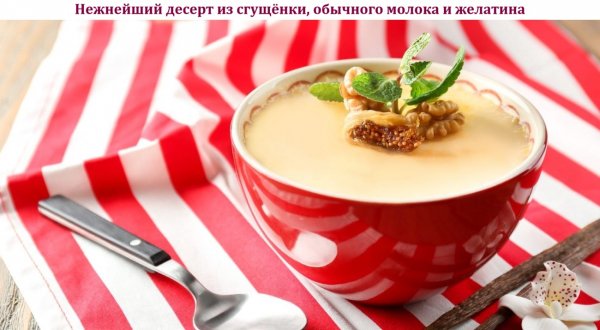 Нежнейший десерт из сгущёнки, обычного молока и желатина